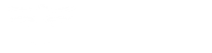 VEX + EDGE FLAGSHIP Foundation image